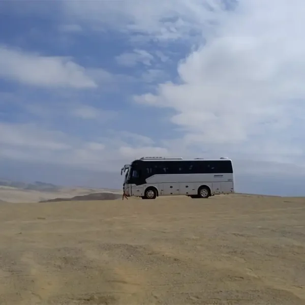 Minibús Golden Dragón Full Equipo5