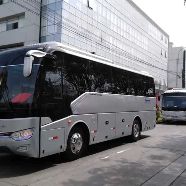 Minibús Golden Dragón Full Equipo6